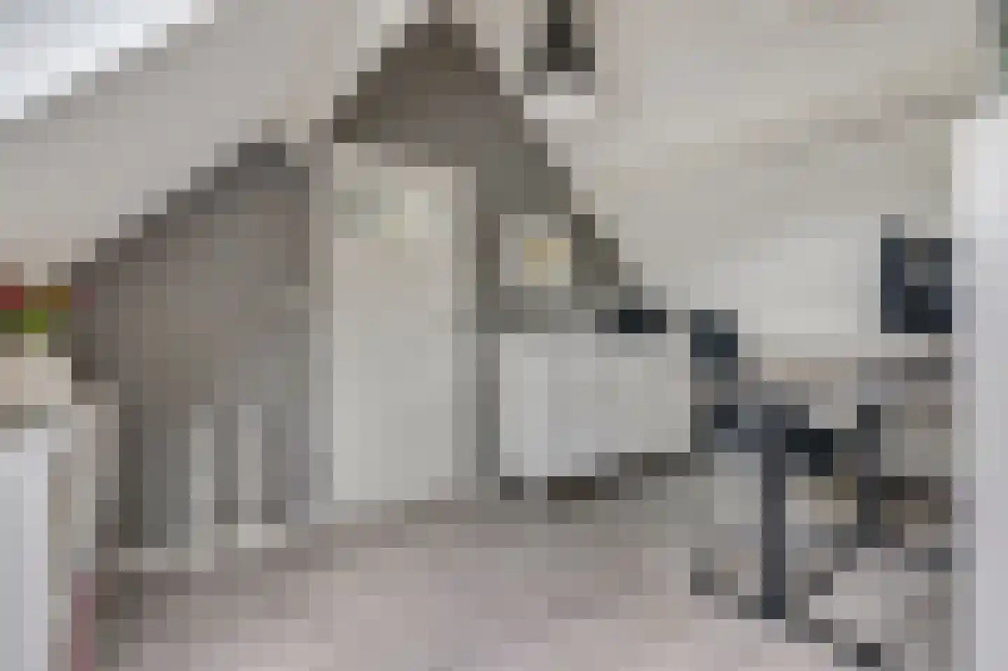 Bontemorgen 14 Lienden thumbnail 42