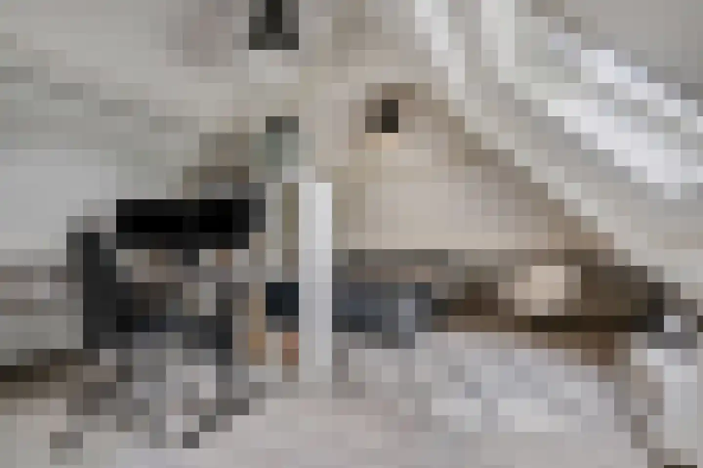 Bontemorgen 14 Lienden thumbnail 43