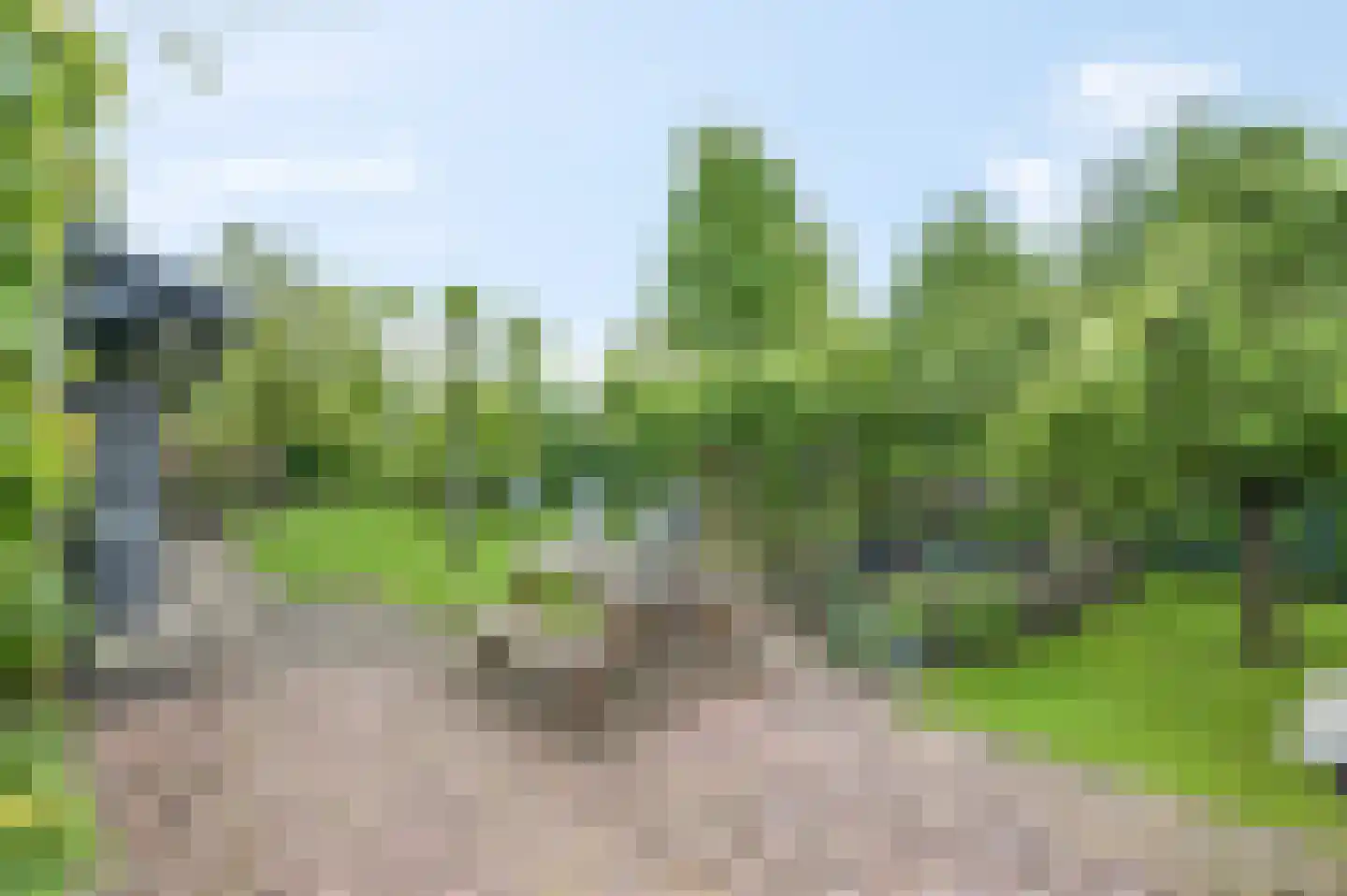 Bontemorgen 14 Lienden thumbnail 53