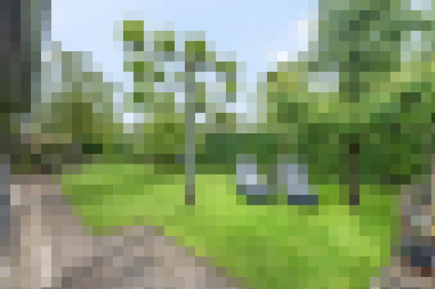 Bontemorgen 14 Lienden thumbnail 55