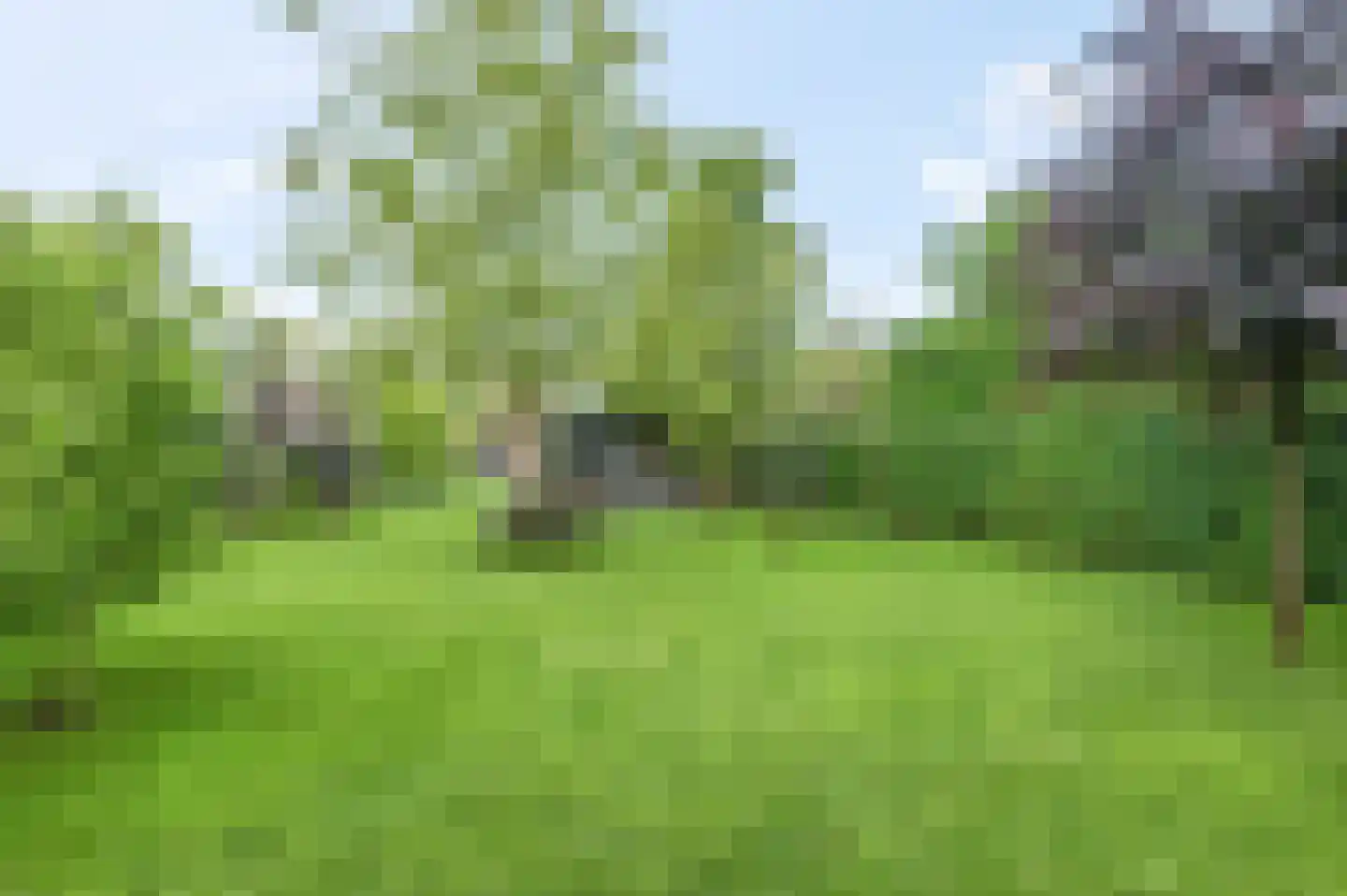 Bontemorgen 14 Lienden thumbnail 57
