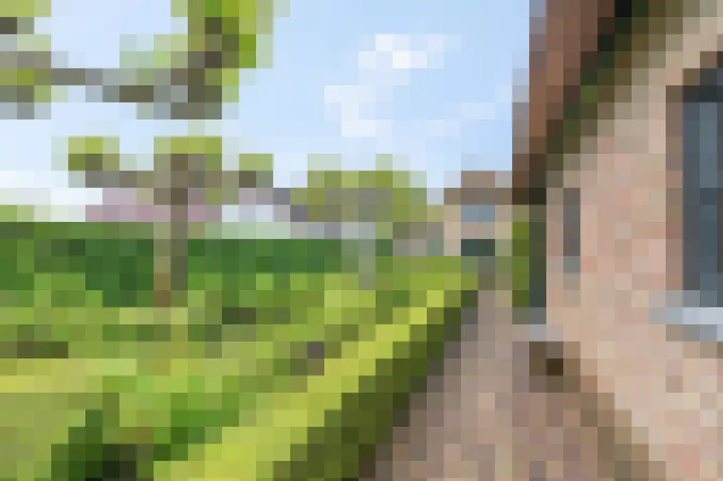 Bontemorgen 14 Lienden thumbnail 60