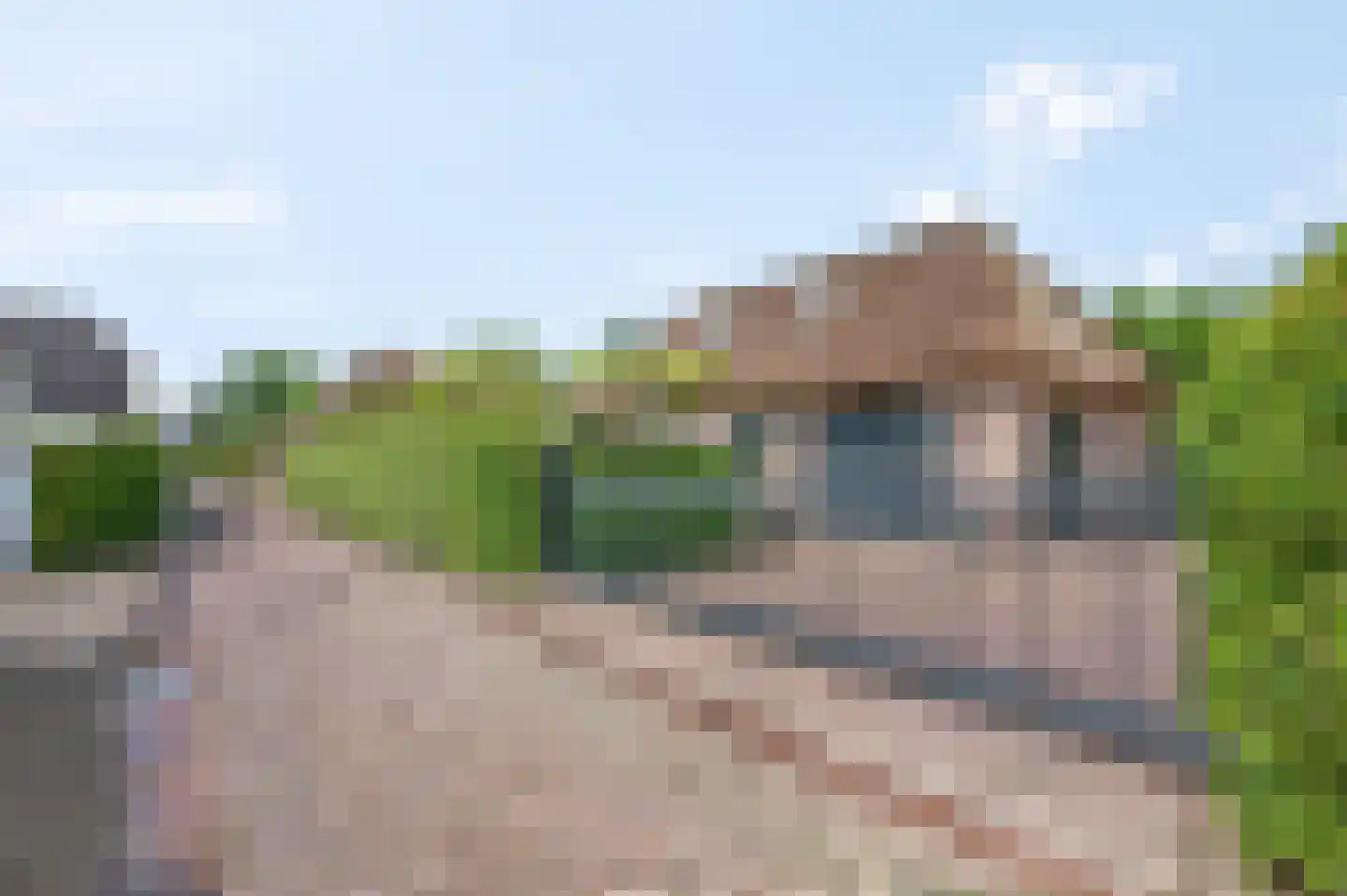 Bontemorgen 14 Lienden thumbnail 68