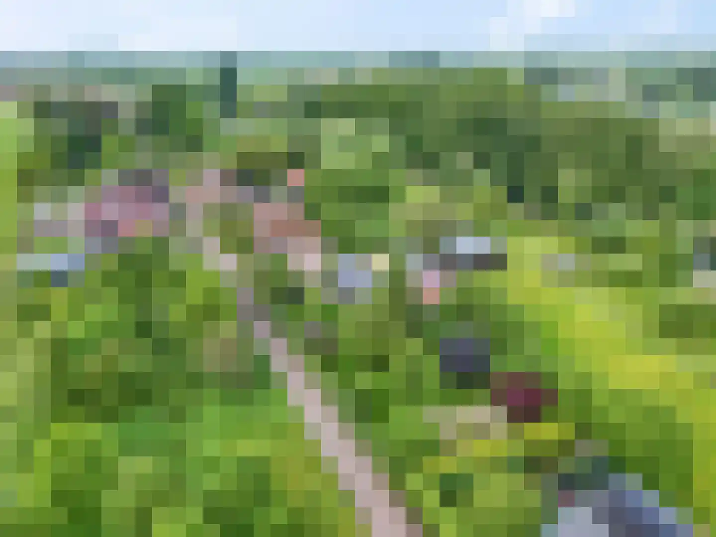 Bontemorgen 14 Lienden thumbnail 69