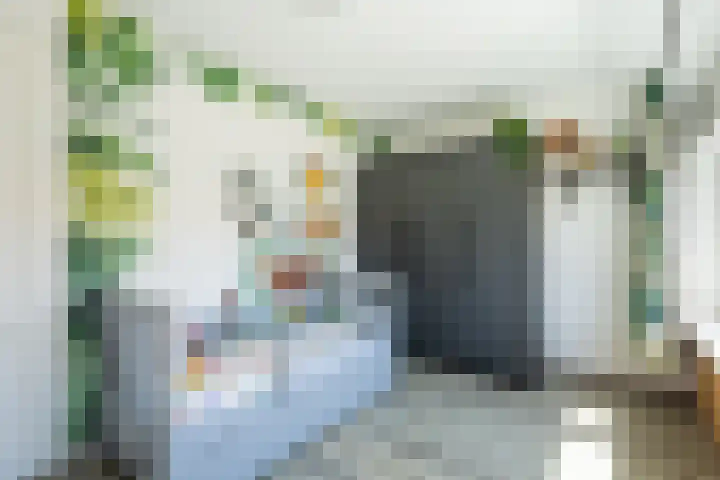 Bontepolderstraat 13 Sluiskil thumbnail 21