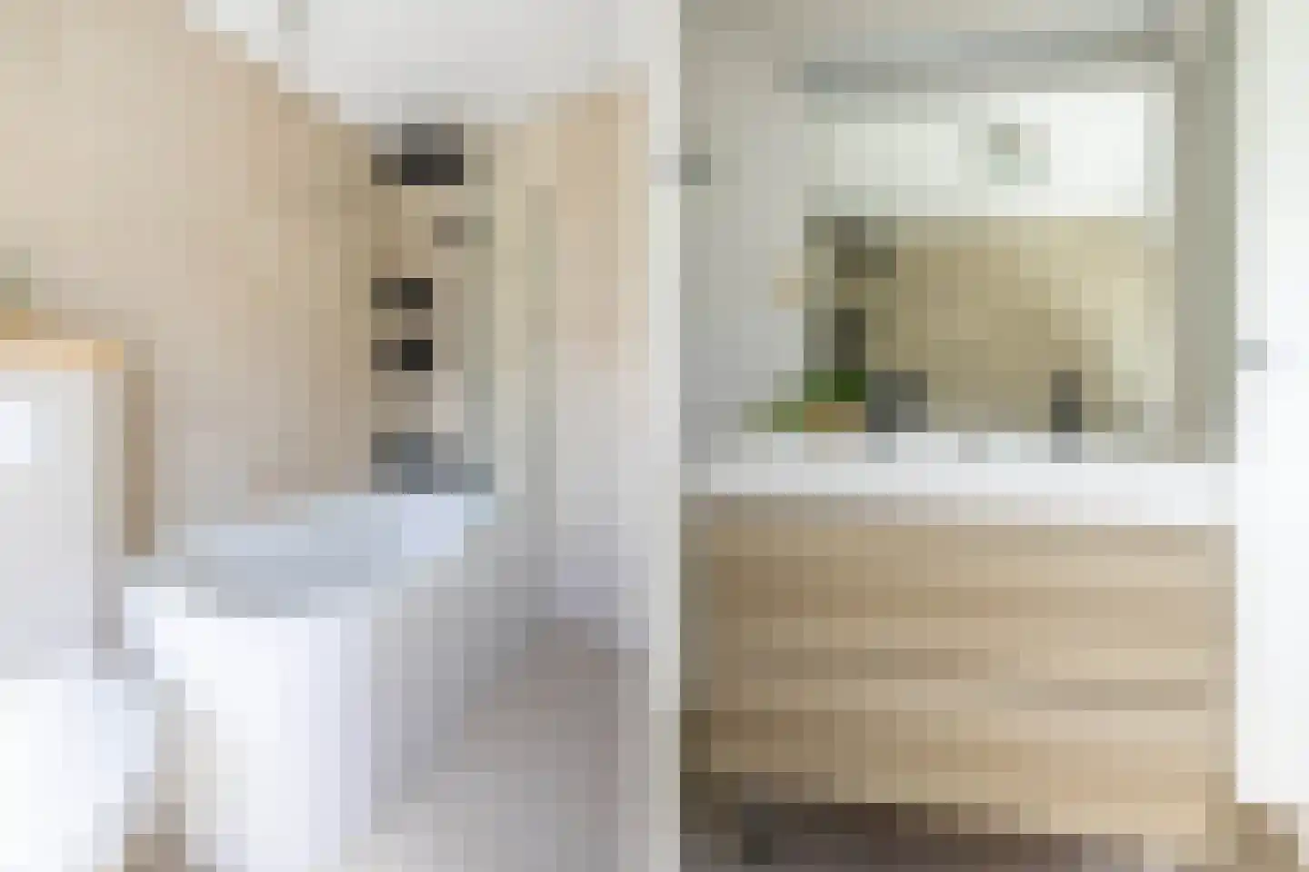 Bontepolderstraat 13 Sluiskil thumbnail 25