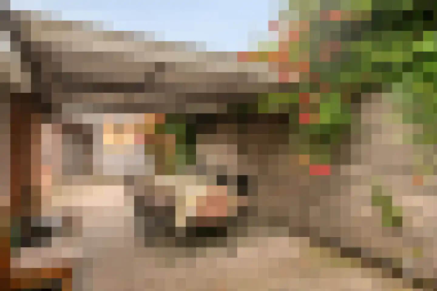 Bontepolderstraat 4 Sluiskil thumbnail 4