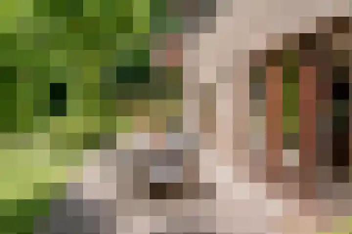 Bontiuslaan 10 Wassenaar thumbnail 18