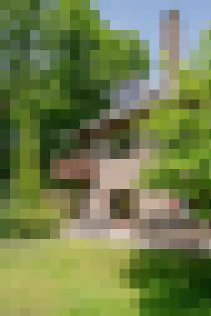 Bontiuslaan 10 Wassenaar thumbnail 20