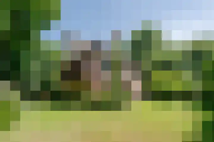 Bontiuslaan 10 Wassenaar thumbnail 21