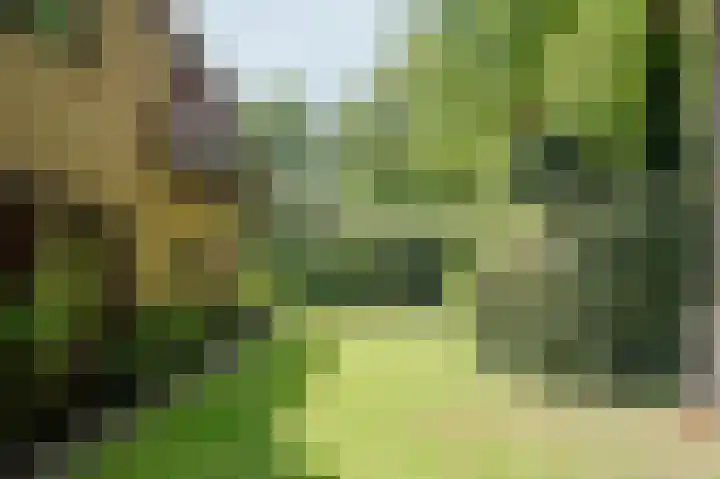 Bontiuslaan 10 Wassenaar thumbnail 22