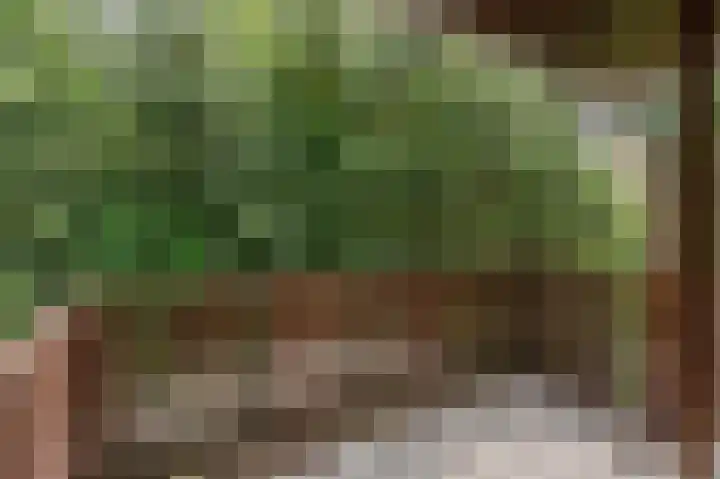 Bontiuslaan 10 Wassenaar thumbnail 27
