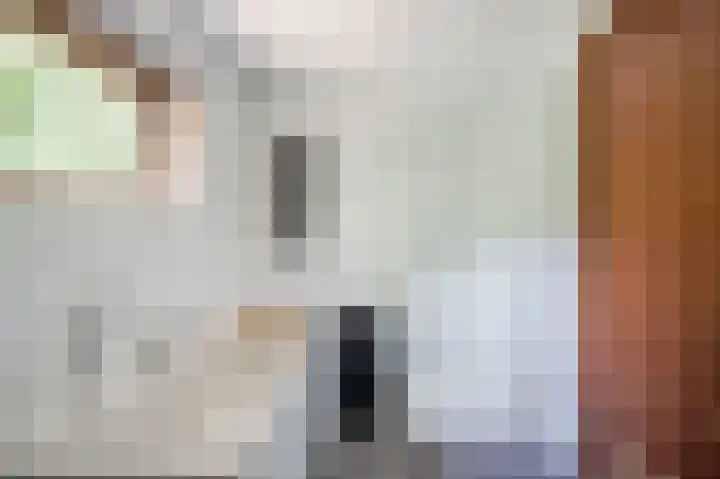 Bontiuslaan 10 Wassenaar thumbnail 30