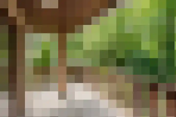 Bontiuslaan 10 Wassenaar thumbnail 33