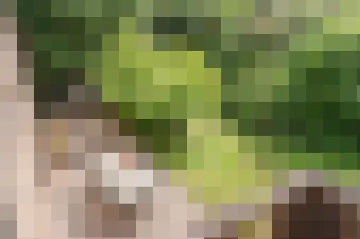 Bontiuslaan 10 Wassenaar thumbnail 34