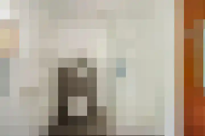Bontiuslaan 10 Wassenaar thumbnail 37