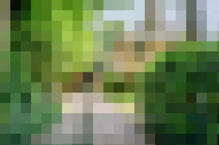 Bontiuslaan 10 Wassenaar thumbnail 4