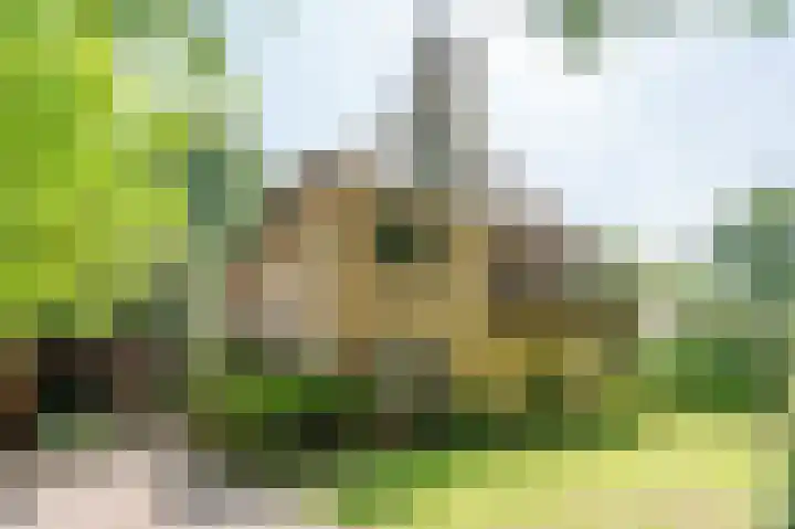 Bontiuslaan 10 Wassenaar thumbnail 5