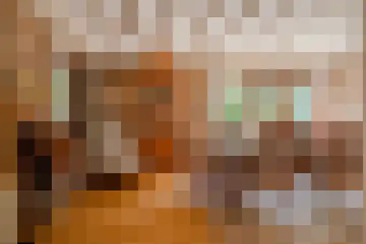 Bontiuslaan 10 Wassenaar thumbnail 8