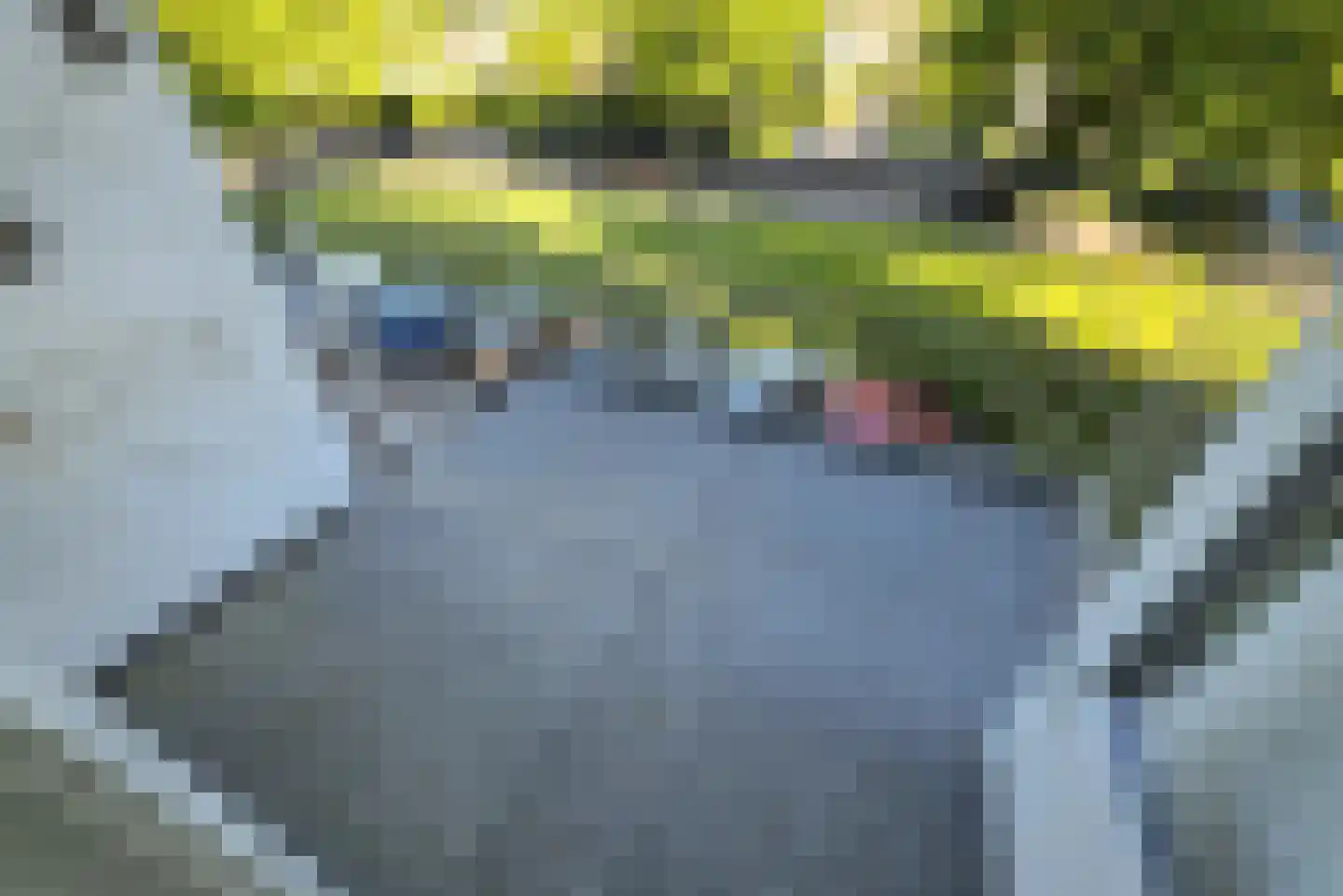 Bontwerkersdreef 18 B Maastricht thumbnail 19