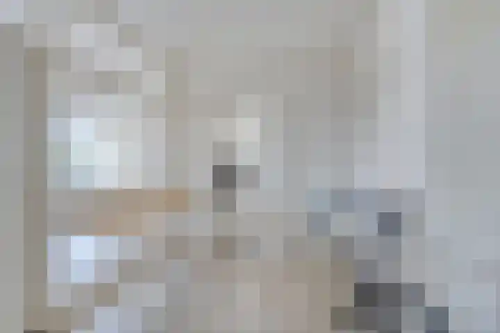 Bontwerkersdreef 18 F Maastricht thumbnail 11