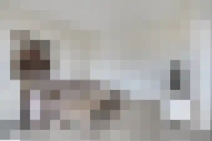 Bontwerkersdreef 18 F Maastricht thumbnail 12