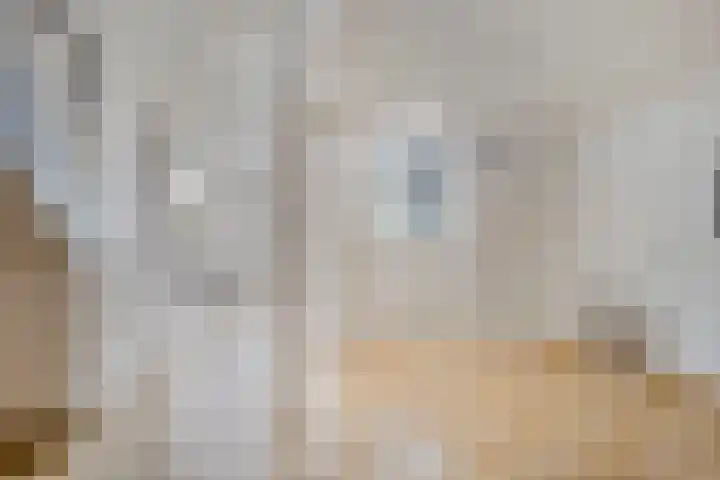 Bontwerkersdreef 18 F Maastricht thumbnail 6