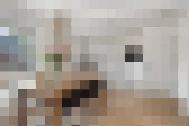 Bontwerkersdreef 21 Maastricht thumbnail 10