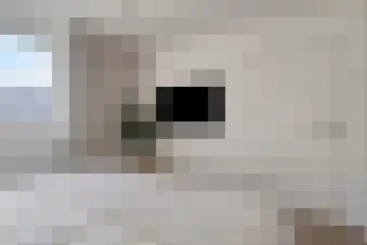 Bontwerkersdreef 21 Maastricht thumbnail 18