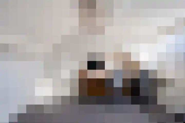 Bontwerkersdreef 21 Maastricht thumbnail 23