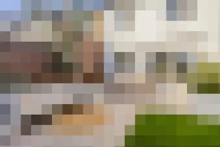 Bontwerkersdreef 21 Maastricht thumbnail 26