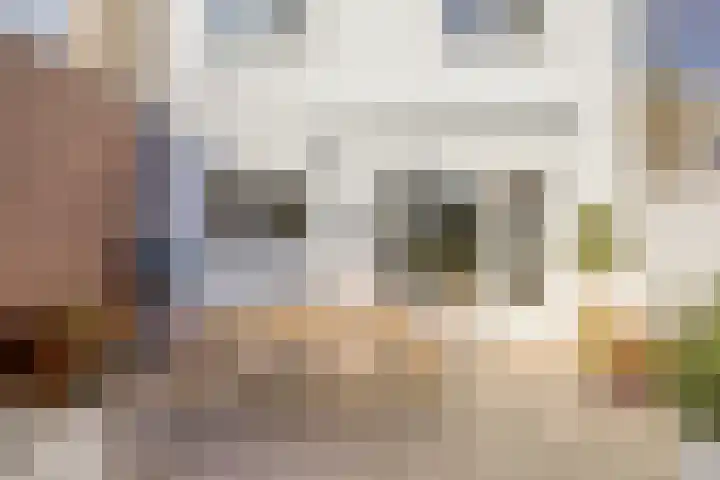 Bontwerkersdreef 21 Maastricht thumbnail 27