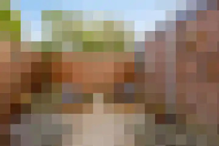 Bontwerkersdreef 21 Maastricht thumbnail 29