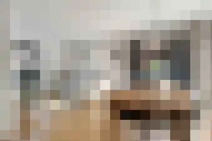Bontwerkersdreef 21 Maastricht thumbnail 9