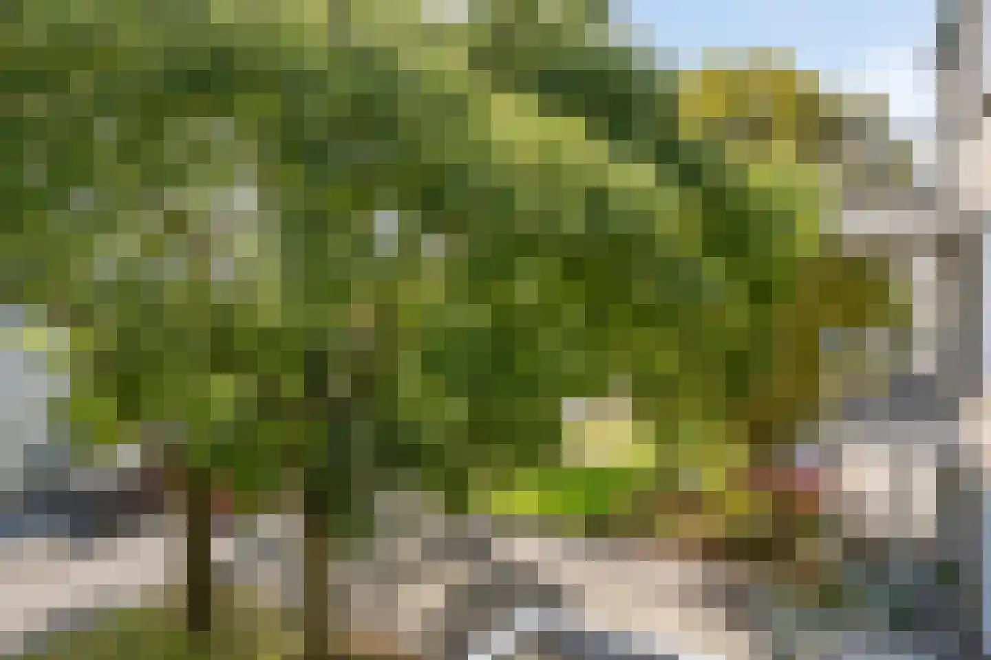 Bontwerkersdreef 6 D Maastricht thumbnail 32