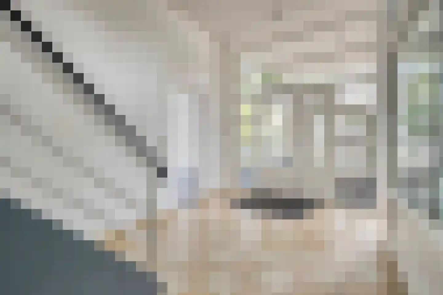 Bontwerkersdreef 6 D Maastricht thumbnail 8