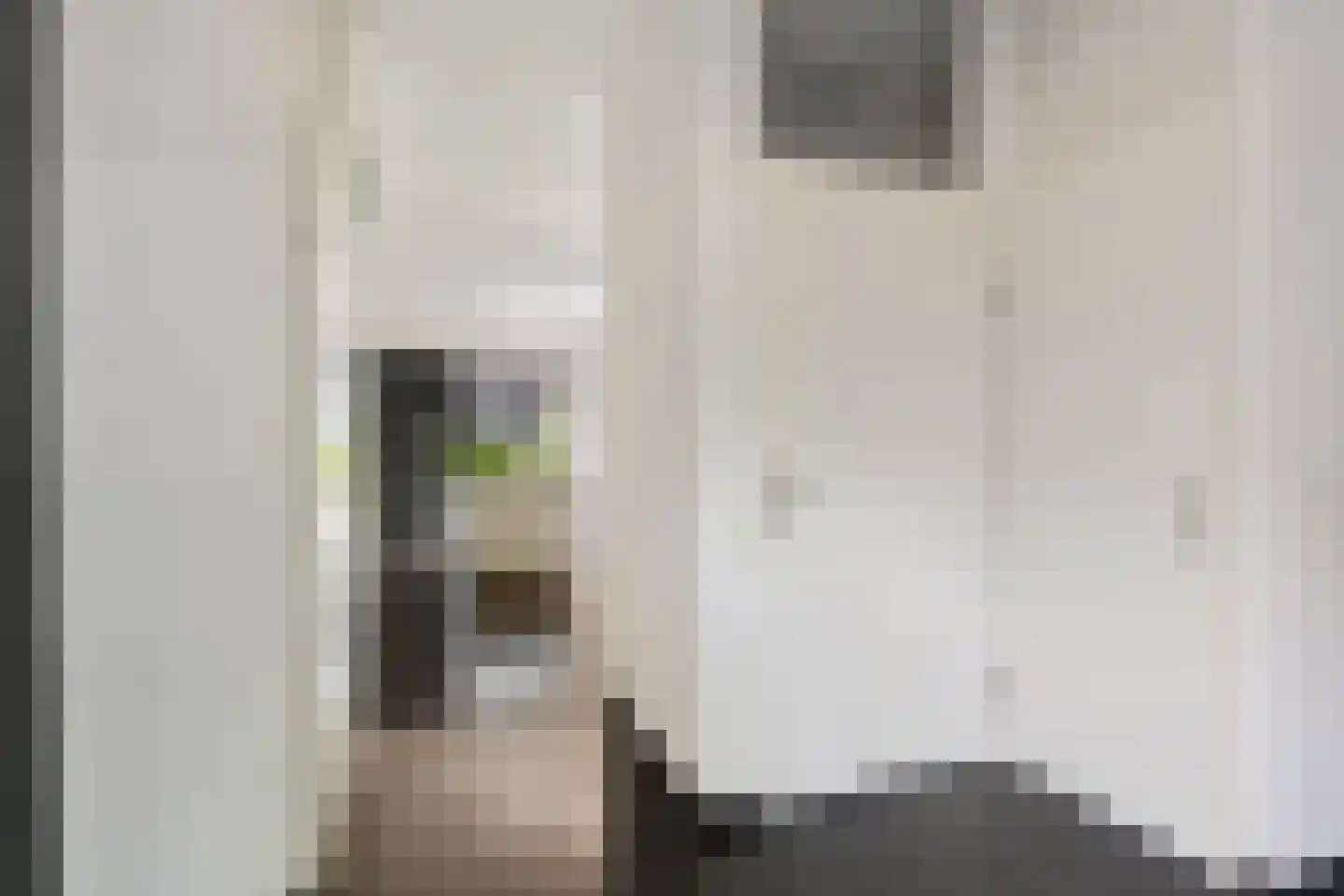 Bontwerkersgaarde 32 Den Haag thumbnail 13