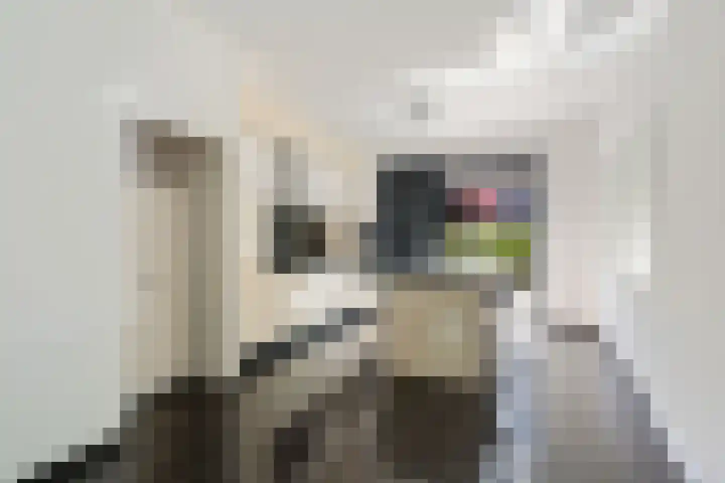 Bontwerkersgaarde 32 Den Haag thumbnail 17