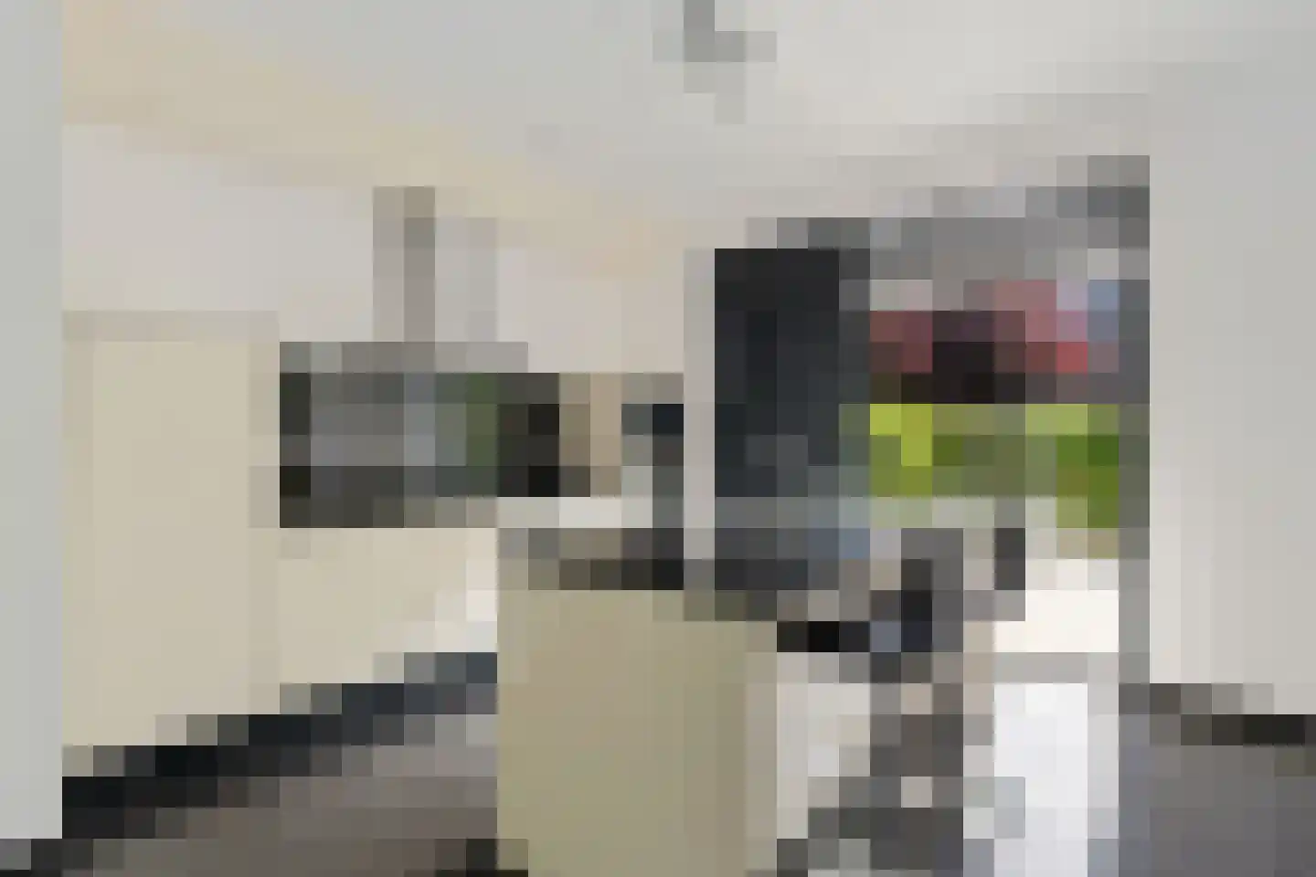 Bontwerkersgaarde 32 Den Haag thumbnail 19