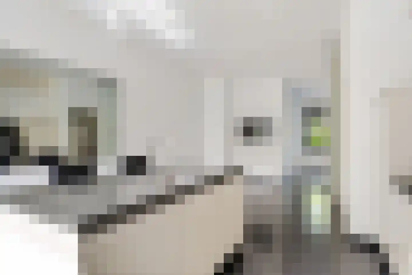 Bontwerkersgaarde 32 Den Haag thumbnail 23