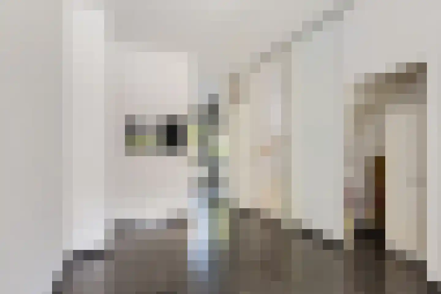 Bontwerkersgaarde 32 Den Haag thumbnail 24