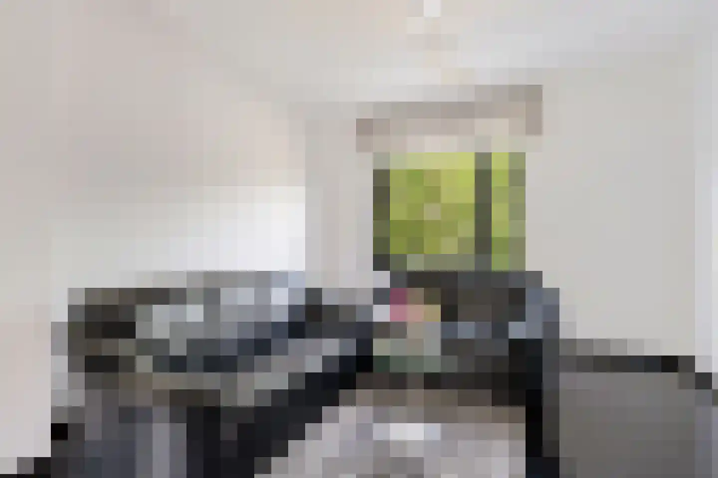 Bontwerkersgaarde 32 Den Haag thumbnail 28