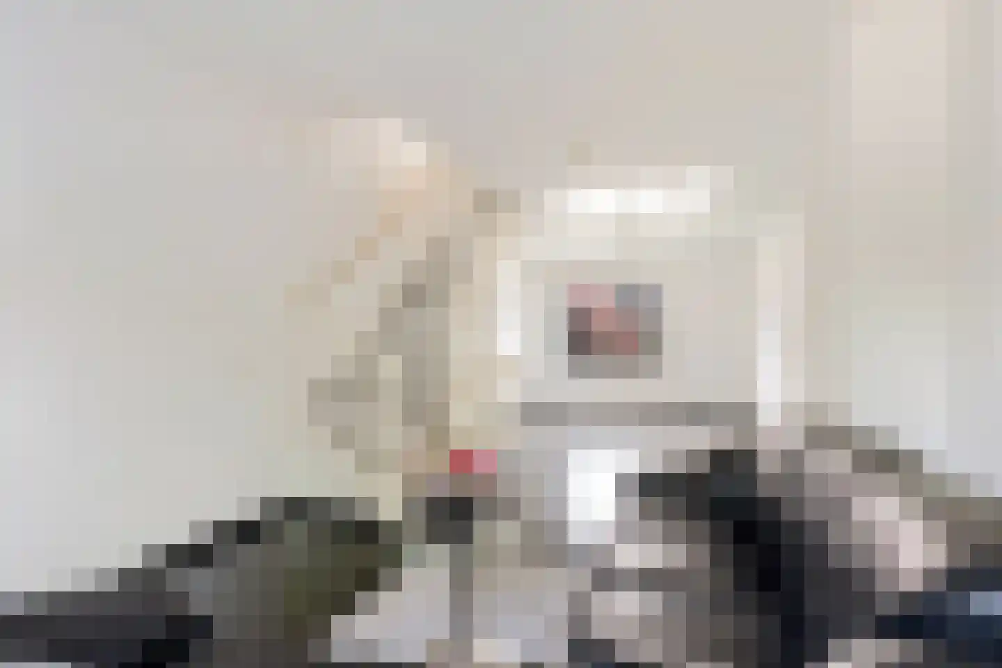 Bontwerkersgaarde 32 Den Haag thumbnail 29