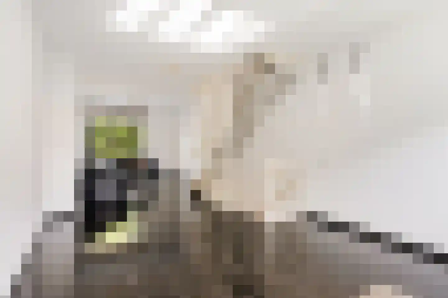 Bontwerkersgaarde 32 Den Haag thumbnail 32