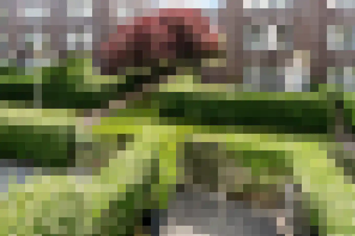 Bontwerkersgaarde 32 Den Haag thumbnail 34