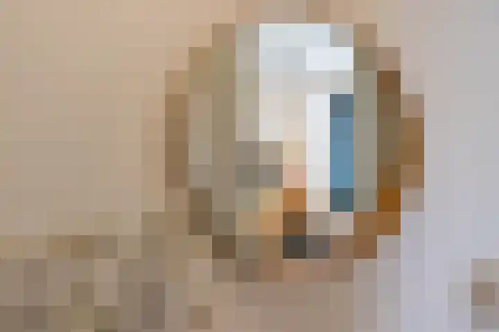 Bontwerkersgaarde 5 Den Haag thumbnail 12