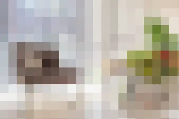 Bontwerkersgaarde 5 Den Haag thumbnail 19