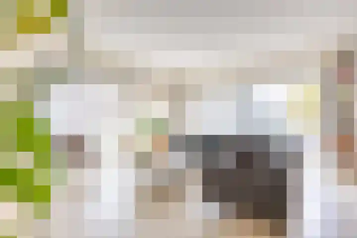 Bontwerkersgaarde 5 Den Haag thumbnail 21