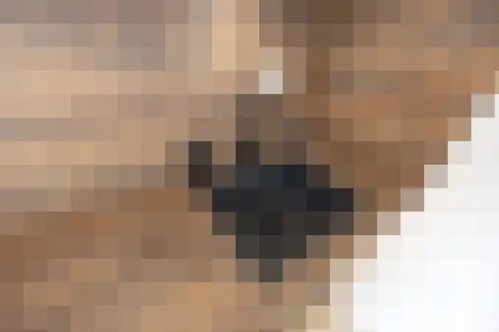 Bontwerkersgaarde 5 Den Haag thumbnail 24