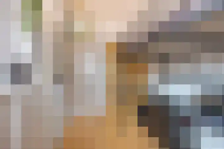 Bontwerkersgaarde 5 Den Haag thumbnail 30
